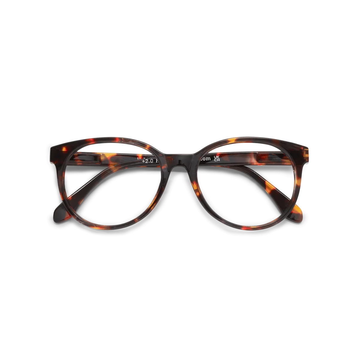 Lesebriller City - tortoise - Image 2